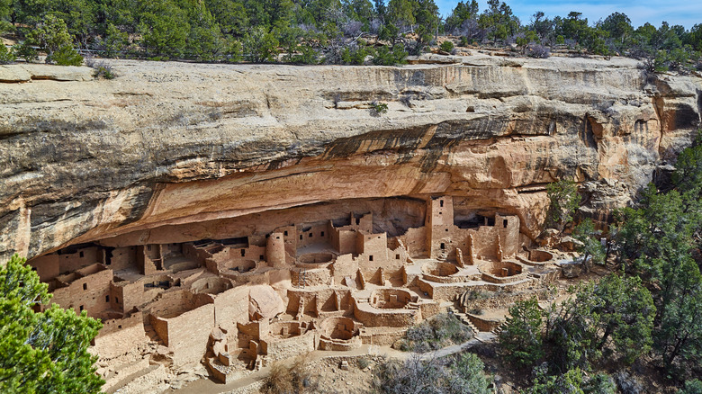 Cliff Palace dwelling Mesa Verde