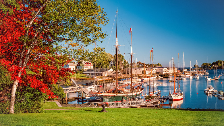 Boats along the waterfront