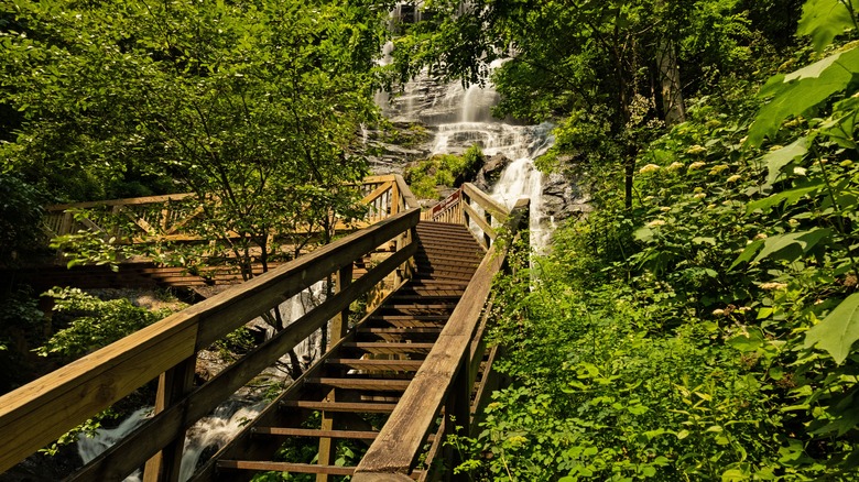 Stairway below Amicalola Falls