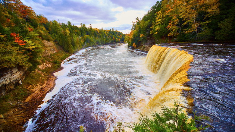 Aerial view of Tahquamenon Falls surrounded by woodlands