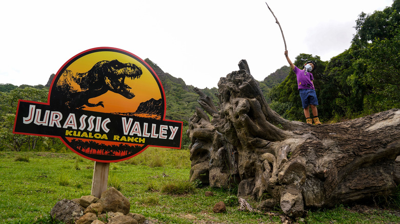 Jurassic Valley sign fallen tree kid