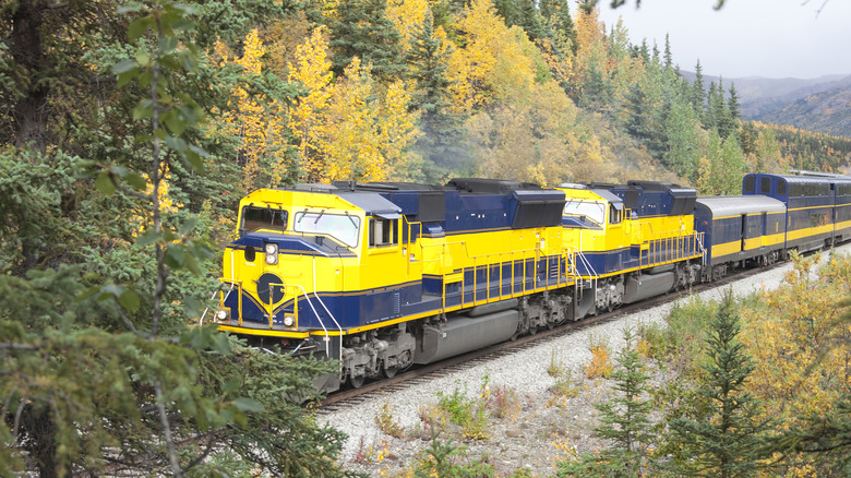 train through Denali National Park