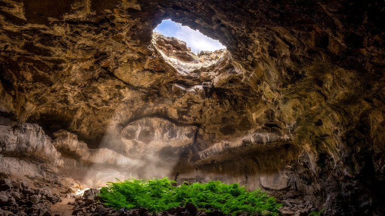 Mammoth Cave National Park cave