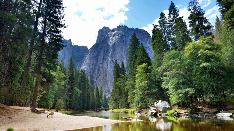 Yosemite National Park peaks