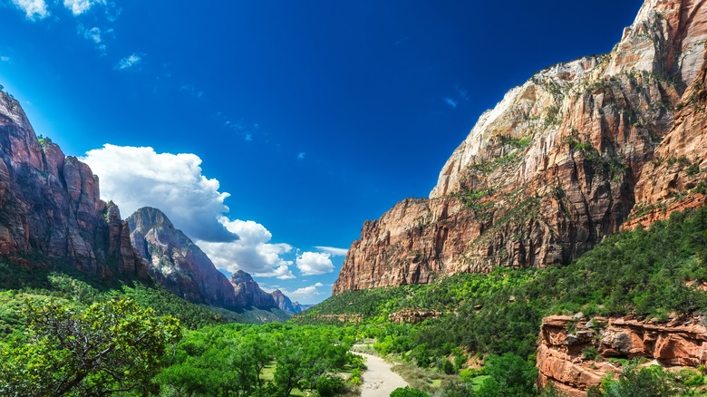 Zion National Park valley