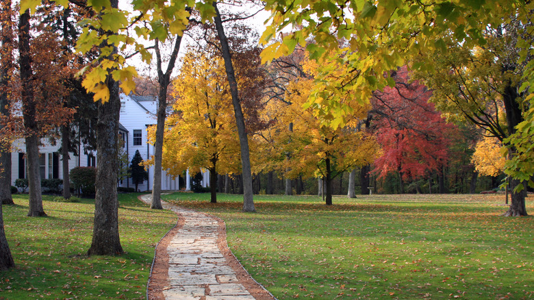 Path by lake in fall