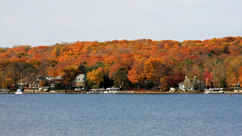 Fall trees by lake