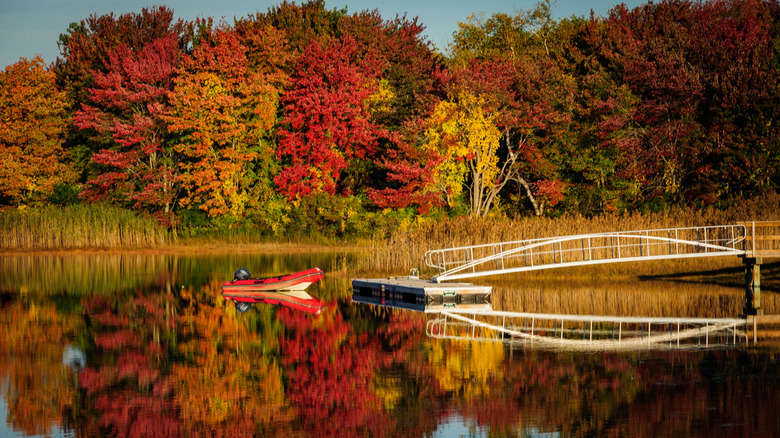 fall scene