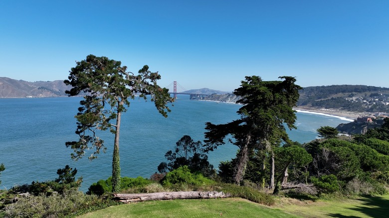 Golden Gate Park views