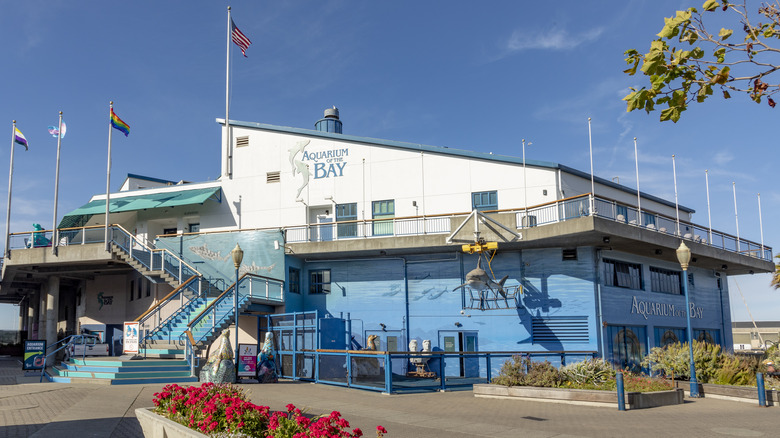 Aquarium of the Bay in daytime