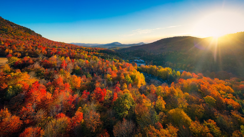 Adirondacks during fall