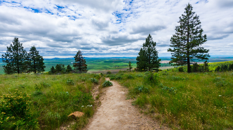 Hiking in Kamiak Butte view