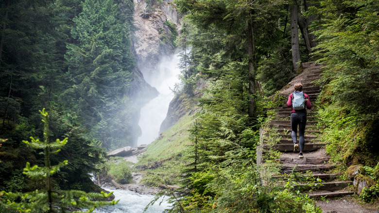 waterfall with stairs