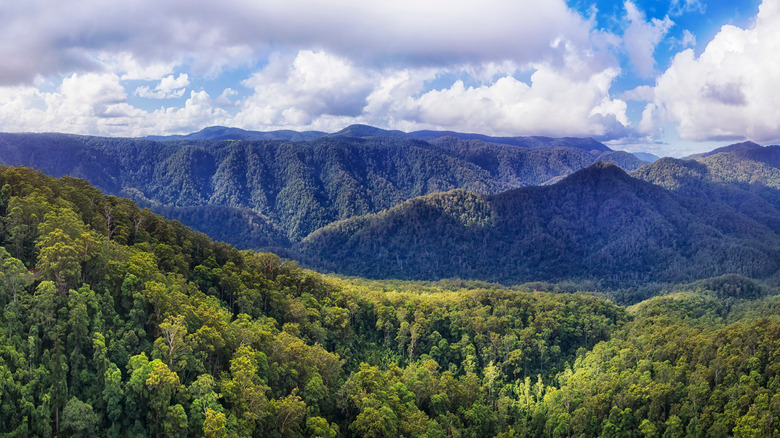 Landscape of hills and trees