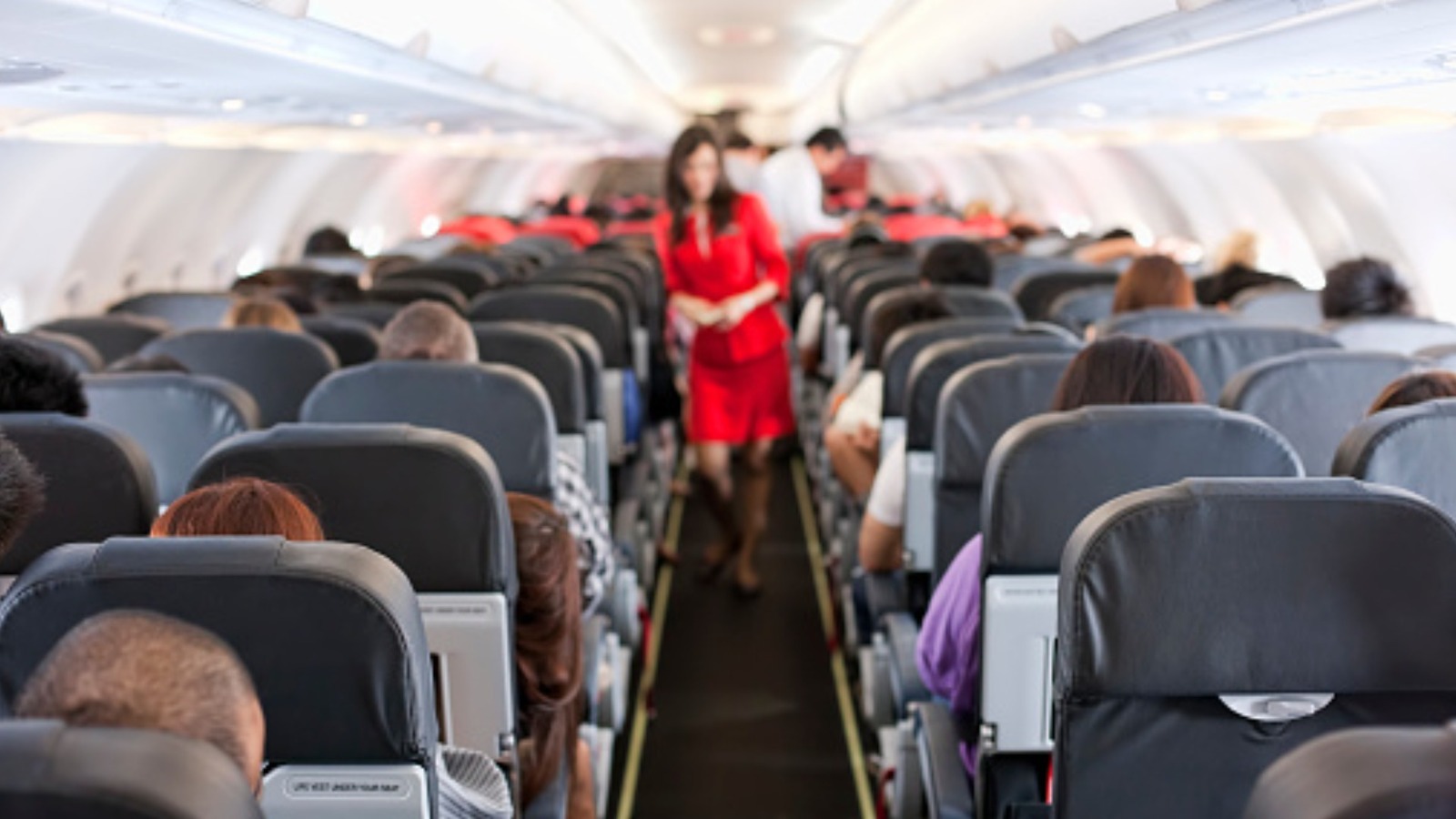 How to Become a Flight Attendant with No Experience (Guide)