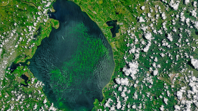 Space view of Lake Okeechobee in Florida