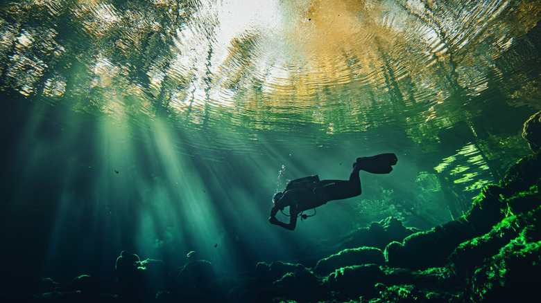 Diver swimming in Florida