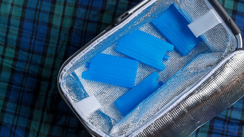 Ice packs inside a cooler