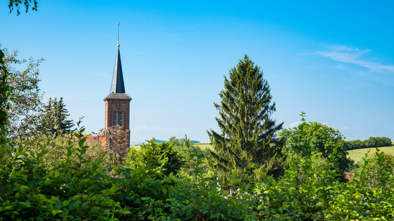 Church and trees in hunspach, france
