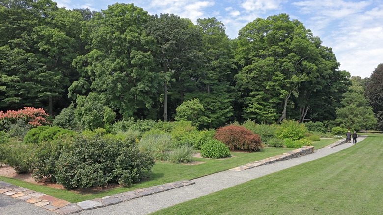 Arnold Arboretum landscaping daytime
