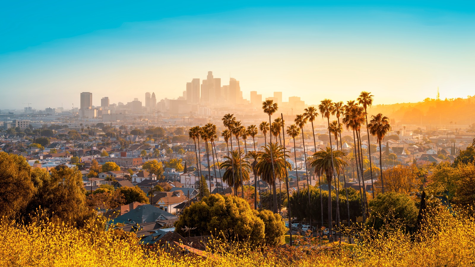 Things to do in and around Los Angeles