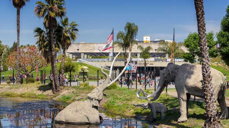 La Brea Tar Pits daytime