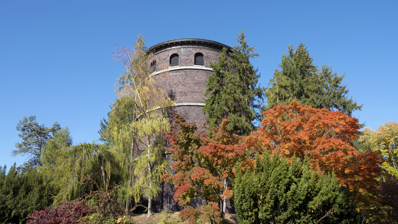 Volunteer Park tower, Seattle