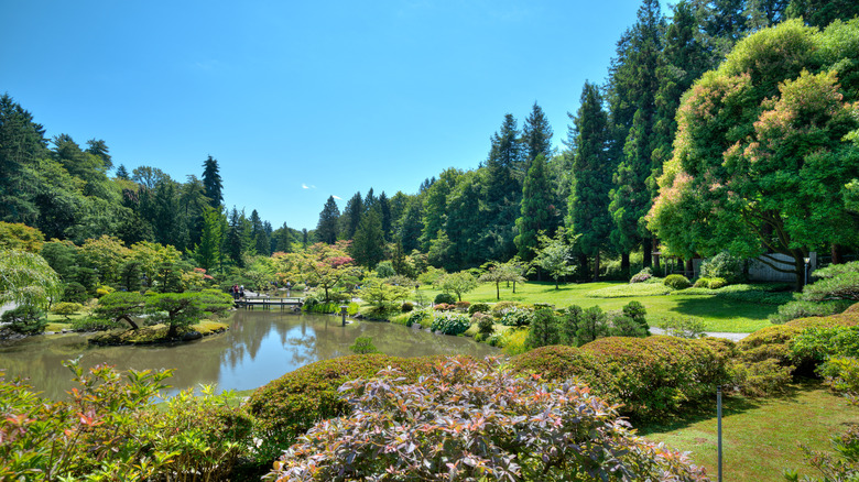 Washington Park Arboretum