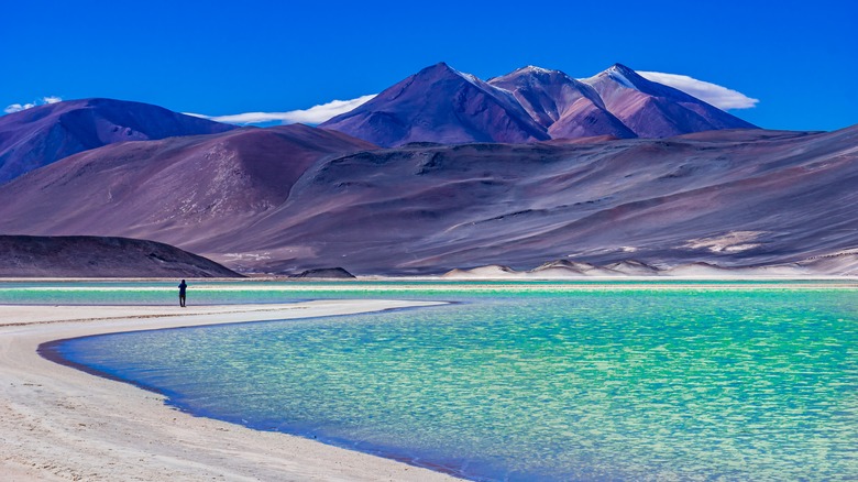 A lagoons in Atacama Desert