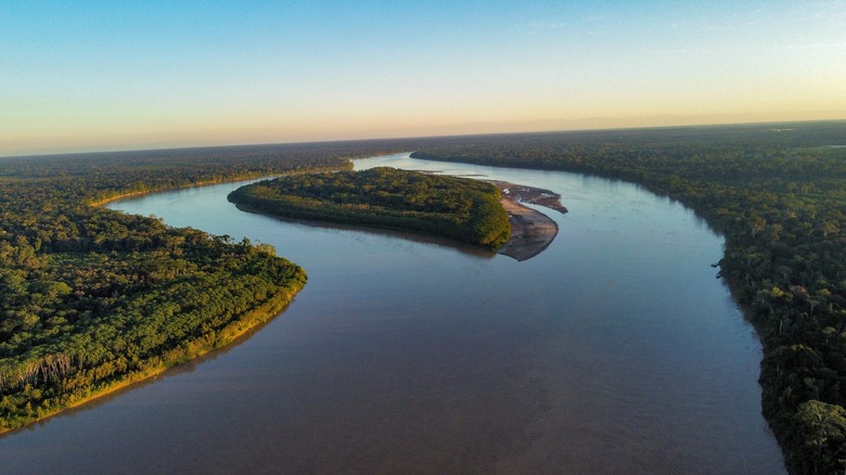 River in the Amazon basin