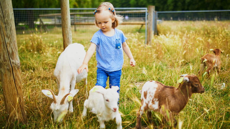 girl at goat farm 