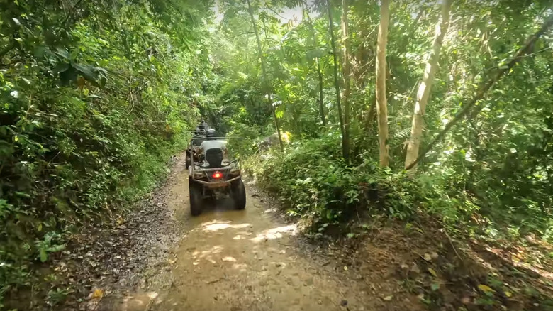 ATV ride near Fajardo