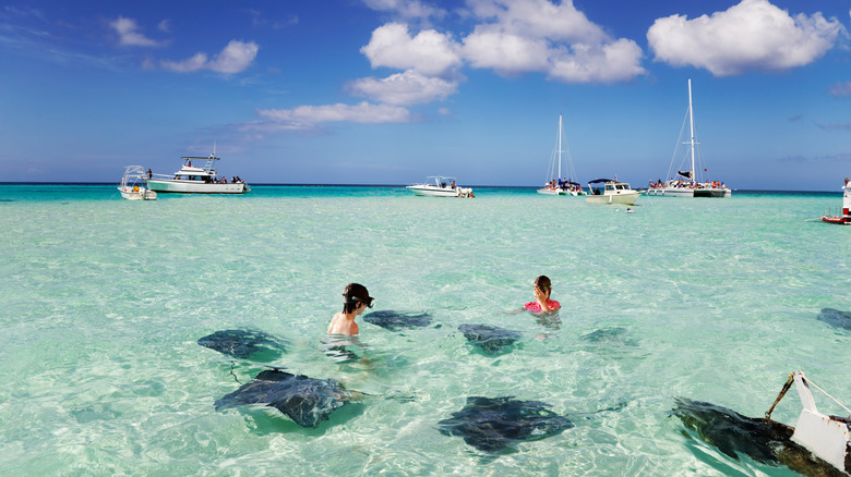 Tourists at Stingray City