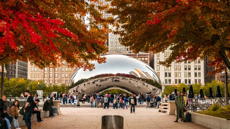 The Bean in the autumn