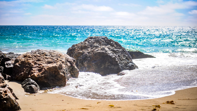 Beach in Malibu 