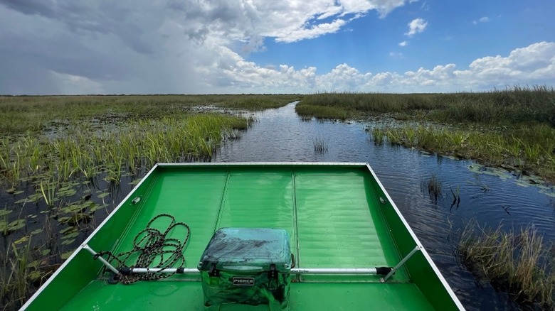 An airboat in the Everglades
