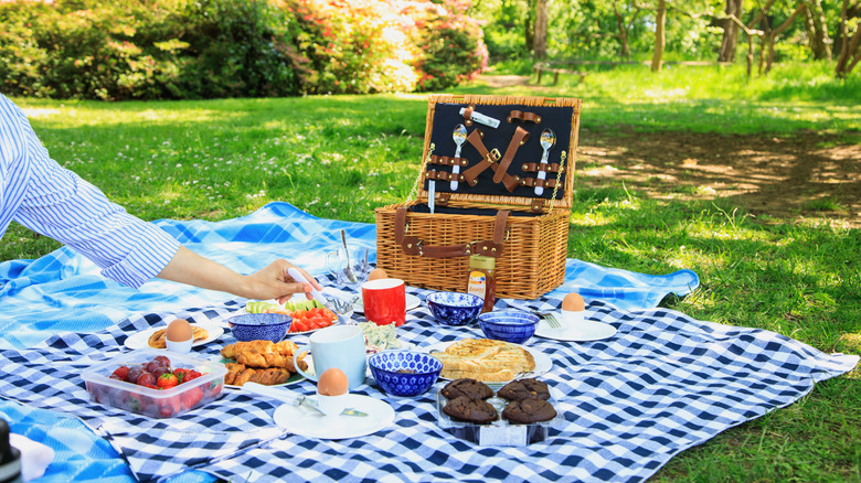 person having picnic in park