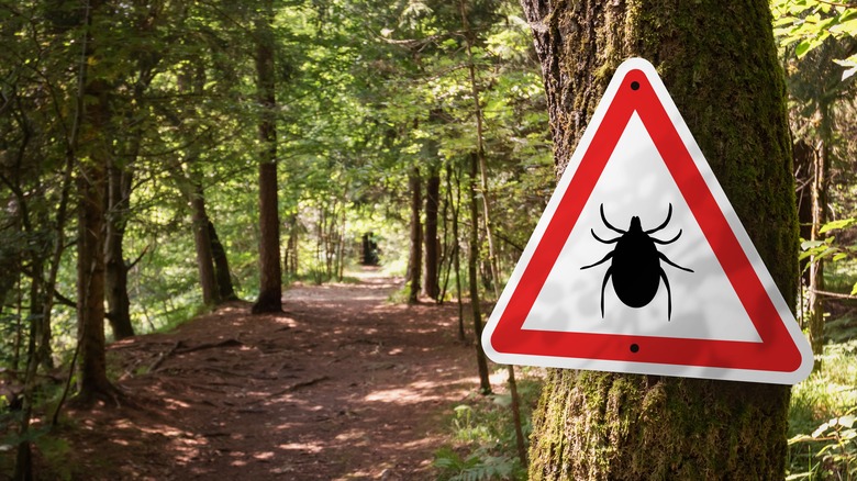 a sign warning about ticks