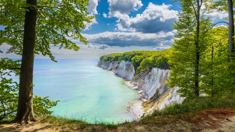 white chalk cliffs Jasmund National Park