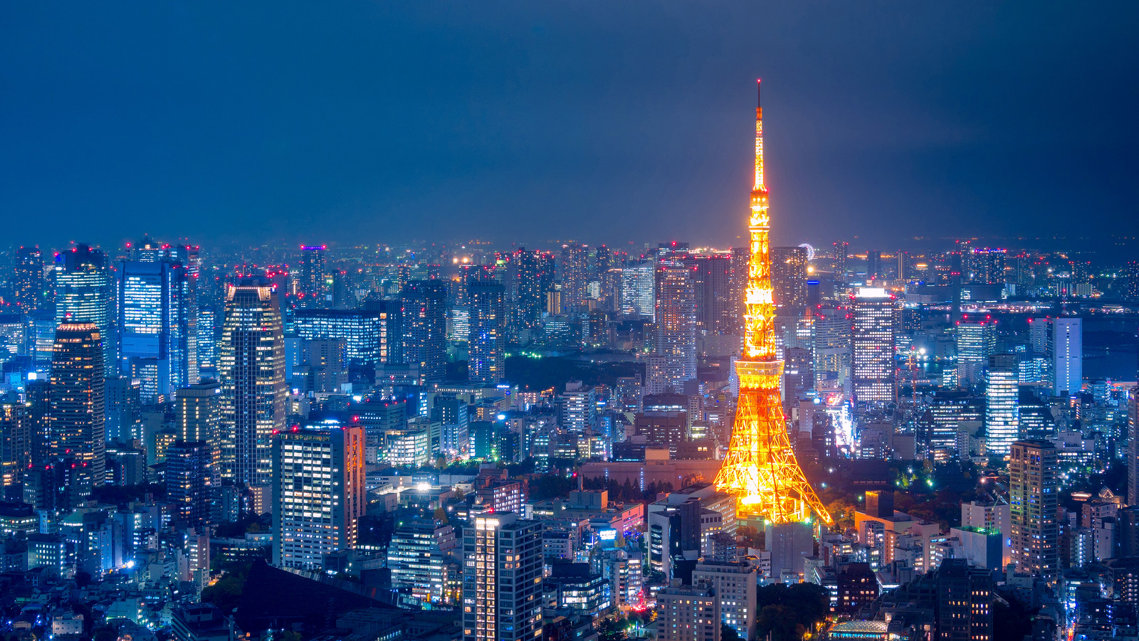 Get A Taste Of Tokyos Nightlife In Roppongi