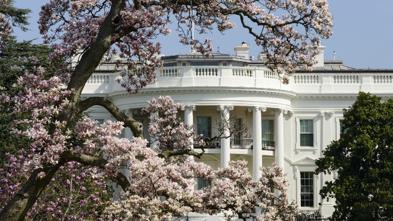 the white house in spring