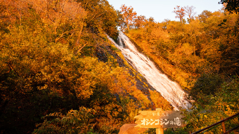 Oshinkoshin Falls in the autumn