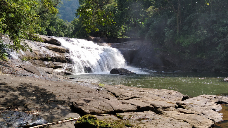 Thommankuthu Falls cascading over rocks