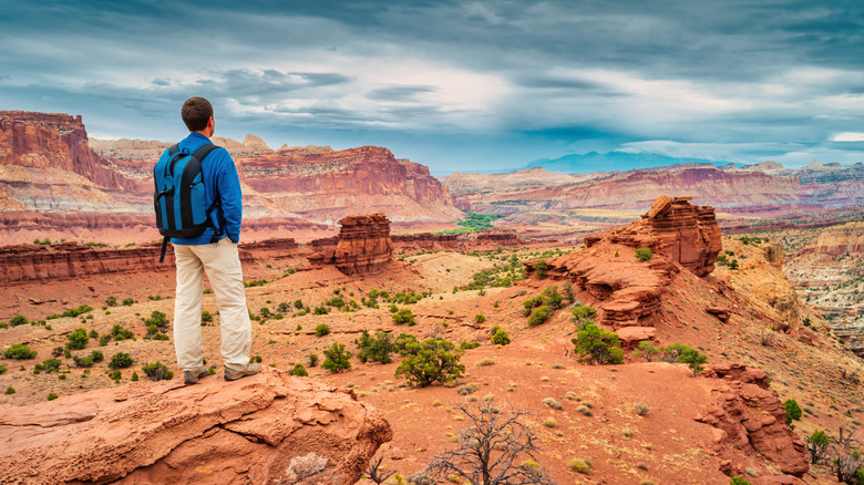 Hiker overlooks Capitol Reef Park