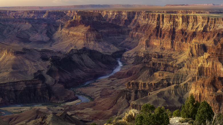 Aerial view of a vast, red gorge in the Grand Canyon.