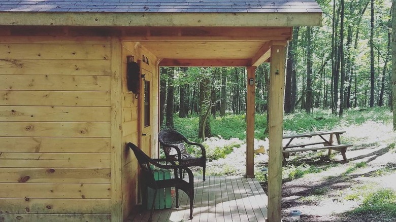 Wooden hut in the forest