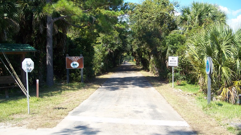 Tallahassee St Marks bike trail