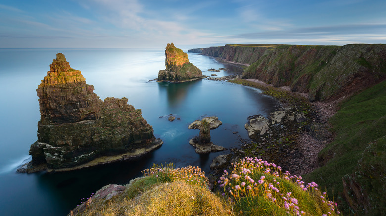 pillar-like stacks in Scotland waters