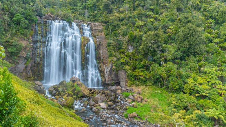 Marokopa Falls in lush forest