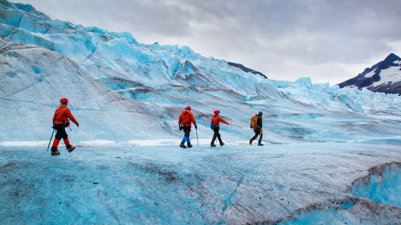 people trekking the Mendenhall Glacier